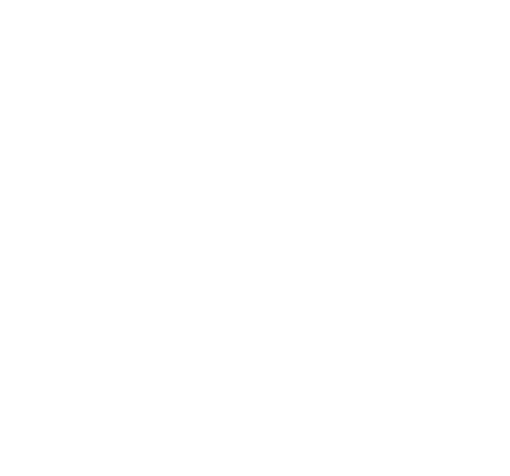 Shepherd Space Systems